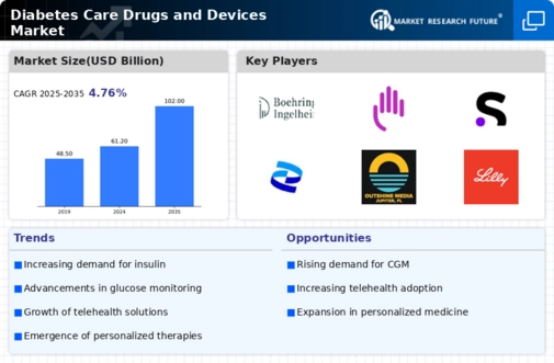 Diabetes Care Drugs Devices Market Infographic