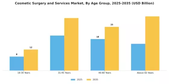 Cosmetic Surgery Services Market Segment Image 0