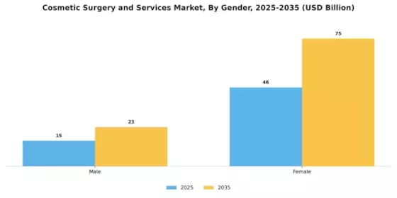 Cosmetic Surgery Services Market Segment Image 1