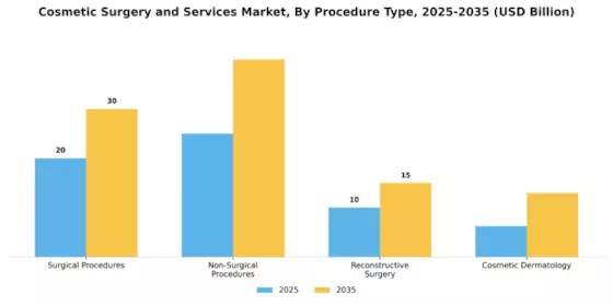 Cosmetic Surgery Services Market Segment Image 2