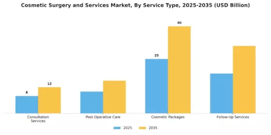 Cosmetic Surgery Services Market Segment Image 3