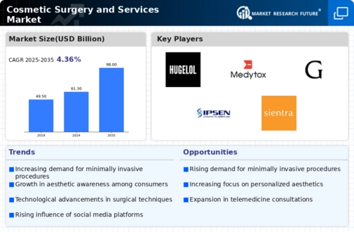 Cosmetic Surgery Services Market Infographic