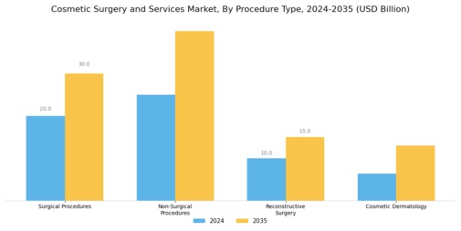 Cosmetic Surgery Services Market Segment Image 0