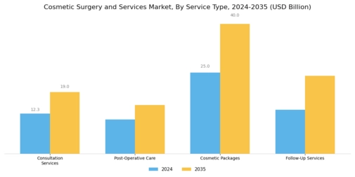 Cosmetic Surgery Services Market Segment Image 3