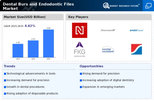 Dental Burs and Endodontic Files Market Infographic