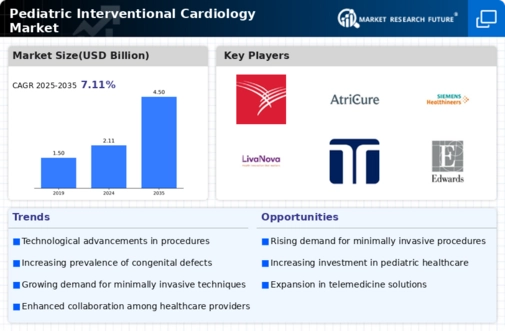 Pediatric Interventional Cardiology Market Infographic