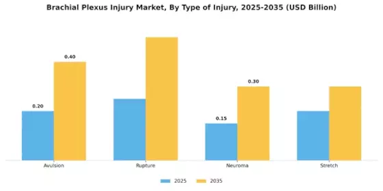 Brachial Plexus Injury Market Segment Image 3