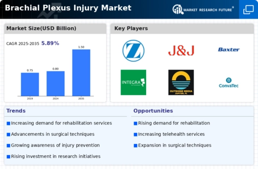 Brachial Plexus Injury Market Infographic