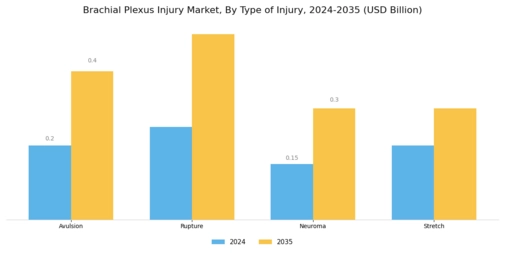 Brachial Plexus Injury Market Segment Image 0
