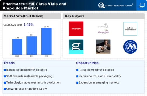 Pharmaceutical Glass Vials Ampoules Market Infographic