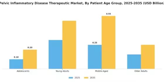 Pelvic Inflammatory Disease Therapeutic Market Segment Image 1