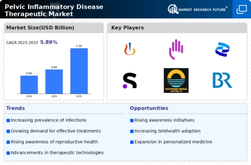 Pelvic Inflammatory Disease Therapeutic Market Infographic
