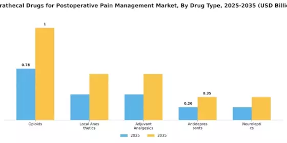 Intrathecal Drugs For Post Operative Pain Management Market Segment Image 1
