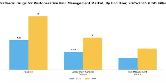 Intrathecal Drugs For Post Operative Pain Management Market Segment Image 2