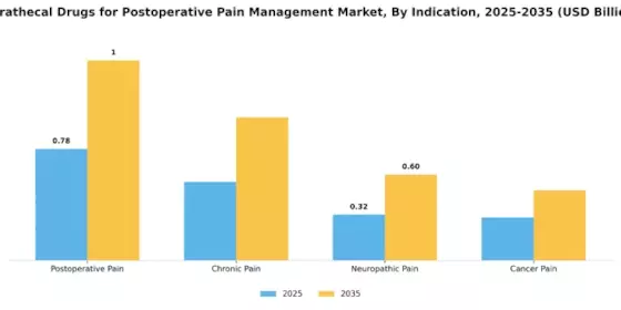 Intrathecal Drugs For Post Operative Pain Management Market Segment Image 3