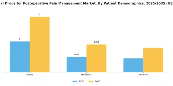 Intrathecal Drugs For Post Operative Pain Management Market Segment Image 4