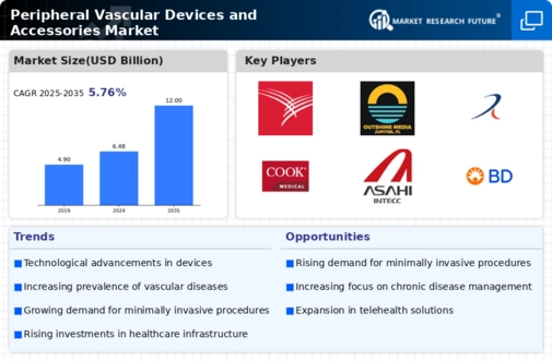 Peripheral Vascular Devices Accessorie Market Infographic