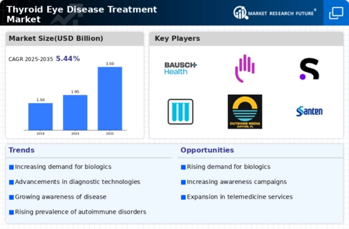 Thyroid Eye Disease Treatment Market Infographic