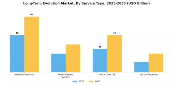 Long Term Evolution Market Segment Image 2