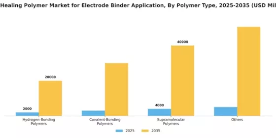 Self Healing Polymer Market for Electrode Binder Application  Segment Image 3