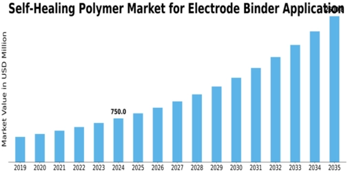 Self Healing Polymer Market for Electrode Binder Application  Size