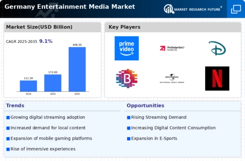 Germany Entertainment Media Market Infographic
