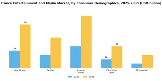 France Entertainment Media Market Segment Image 0