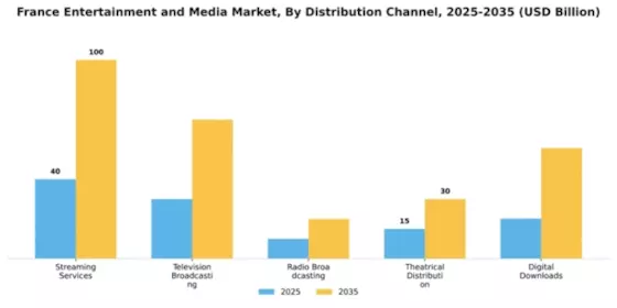 France Entertainment Media Market Segment Image 2