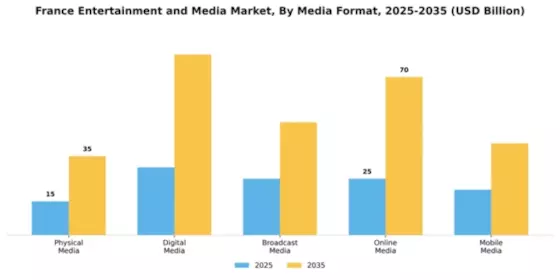 France Entertainment Media Market Segment Image 3