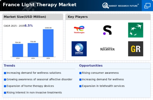 France Light Therapy Market Infographic
