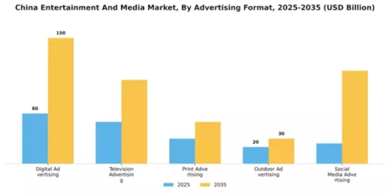 China Entertainment Media Market Segment Image 0