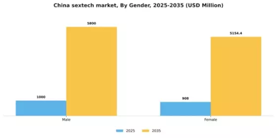 China Sextech Market Segment Image 1