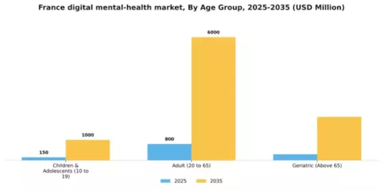 France Digital Mental Health Market Segment Image 0