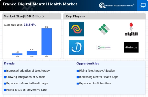 France Digital Mental Health Market Infographic