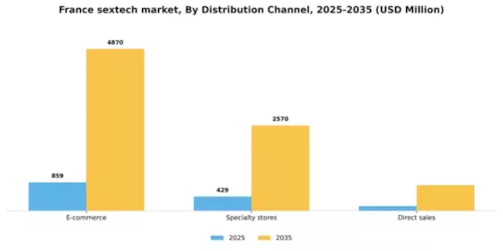 France Sextech Market Segment Image 0