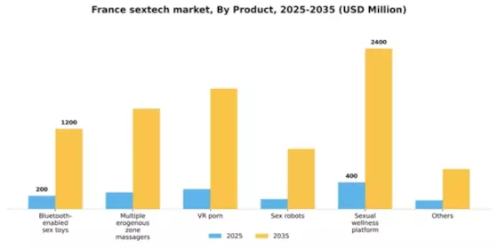France Sextech Market Segment Image 2