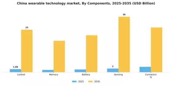 China Wearable Technology Market Segment Image 1