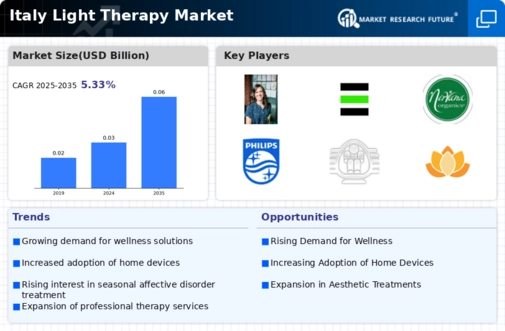 Italy Light Therapy Market Infographic
