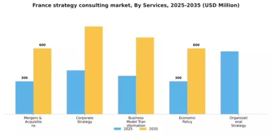 France Strategy Consulting Market Segment Image 0