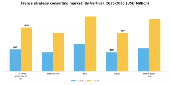 France Strategy Consulting Market Segment Image 2