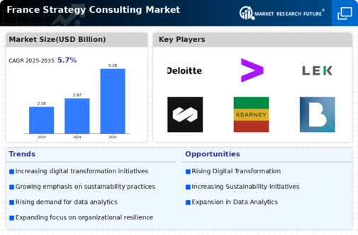 France Strategy Consulting Market Infographic