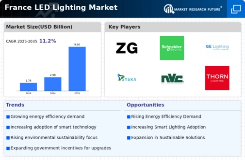 France LED Lighting Market Infographic
