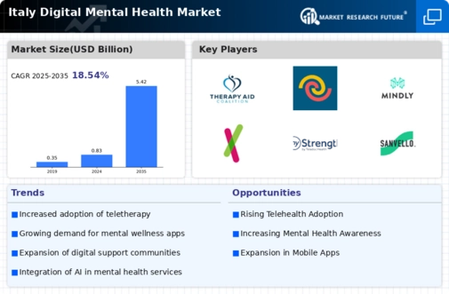 Italy Digital Mental Health Market Infographic