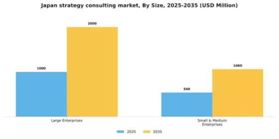 Japan Strategy Consulting Market Segment Image 1