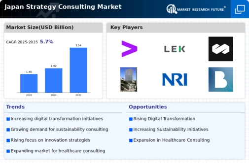 Japan Strategy Consulting Market Infographic