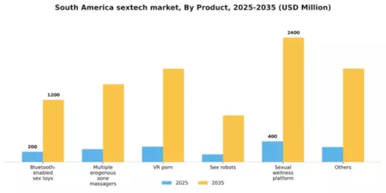 South America Sextech Market Segment Image 2