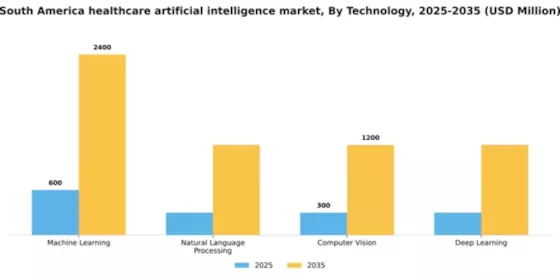 South America Healthcare Artificial Intelligence Market Segment Image 3