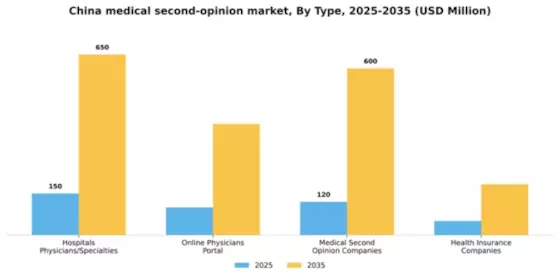 China Medical Second Opinion Market Segment Image 3