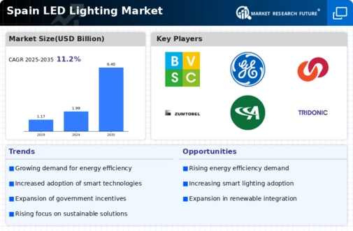Spain Led Lighting Market Infographic