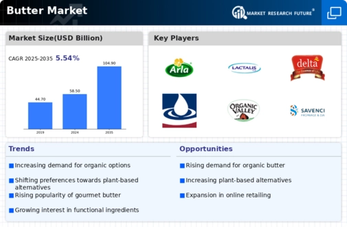 Butter Market Infographic